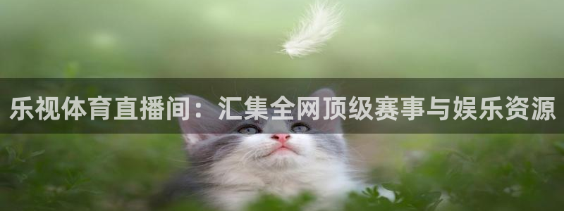 球友体育免费看nba：乐视体育直播间：汇集全网顶级赛事与娱乐资源