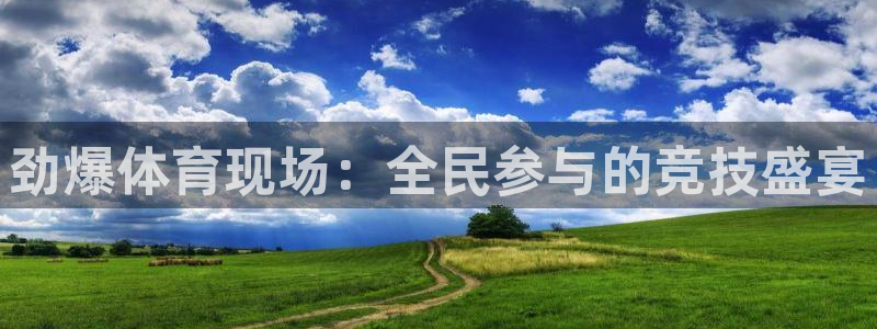 球友nba直播：劲爆体育现场：全民参与的竞技盛宴