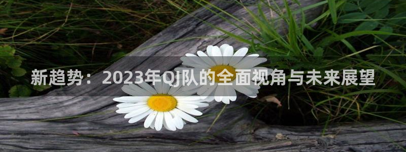 球友体育在线直播：新趋势：2023年QJ队的全面视角与未来展望