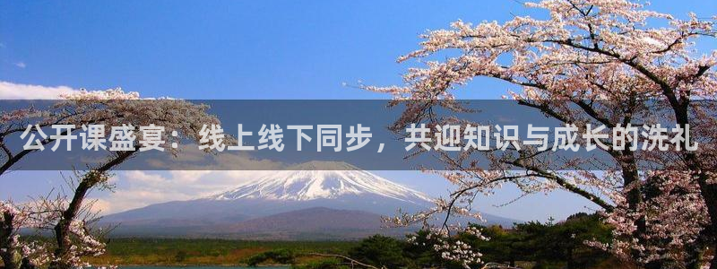 球友直播app：公开课盛宴：线上线下同步，共迎知识与成长的洗礼