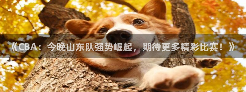 qy体育球友会：《CBA：今晚山东队强势崛起，期待更多精彩比赛！》