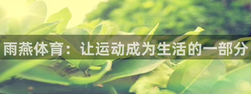 nba球友直播：雨燕体育：让运动成为生活的一部分
