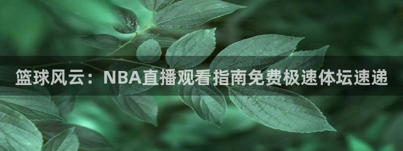 qy球友会体育官网：篮球风云：NBA直播观看指南免费极速体坛速递