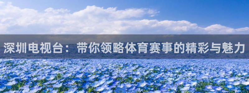 球友直播下载：深圳电视台：带你领略体育赛事的精彩与魅力