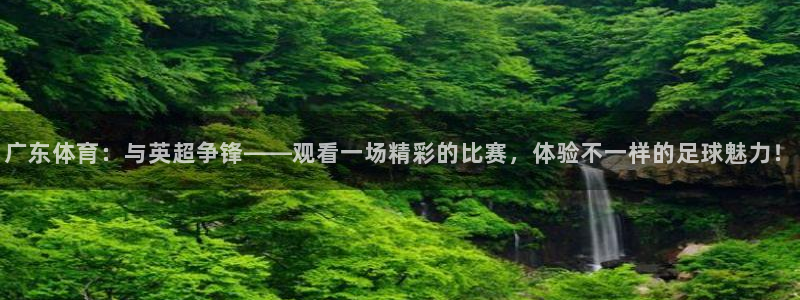 qy千亿球友体育：广东体育：与英超争锋——观看一场精彩的比赛，体验不一样的足球魅力！