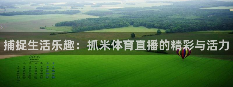 球友直播在线