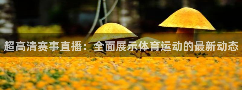 球友直播nba
