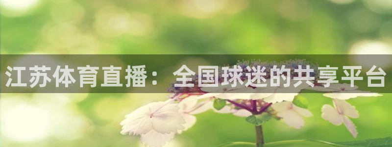 球友nba直播