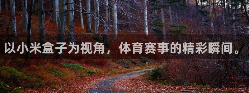 球友体育在线直播：以小米盒子为视角，体育赛事的精彩瞬间。